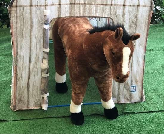 slide-animalkingdom-6